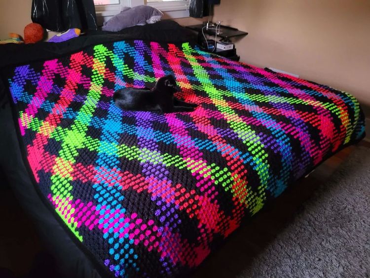 image-20231226120352-5