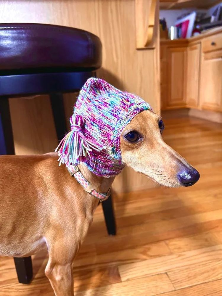 image-20231226120431-10