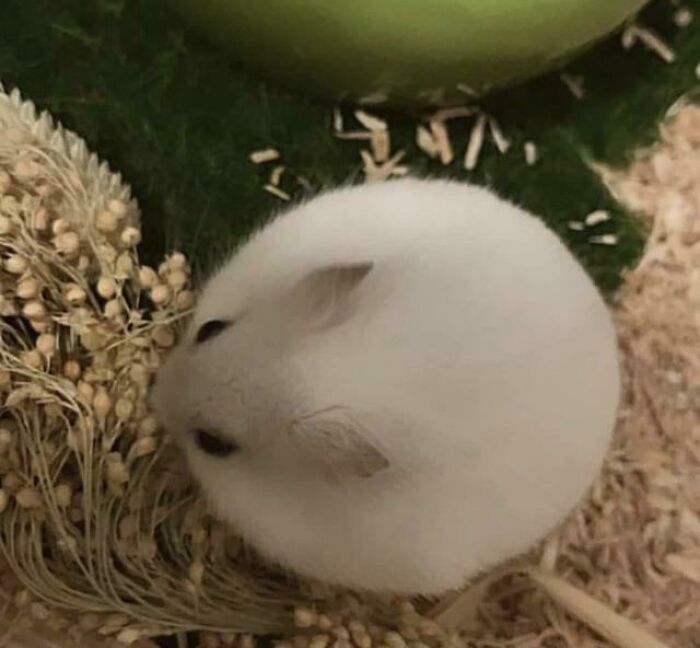 image-20231226161814-2