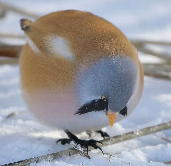 image-20231226161830-7