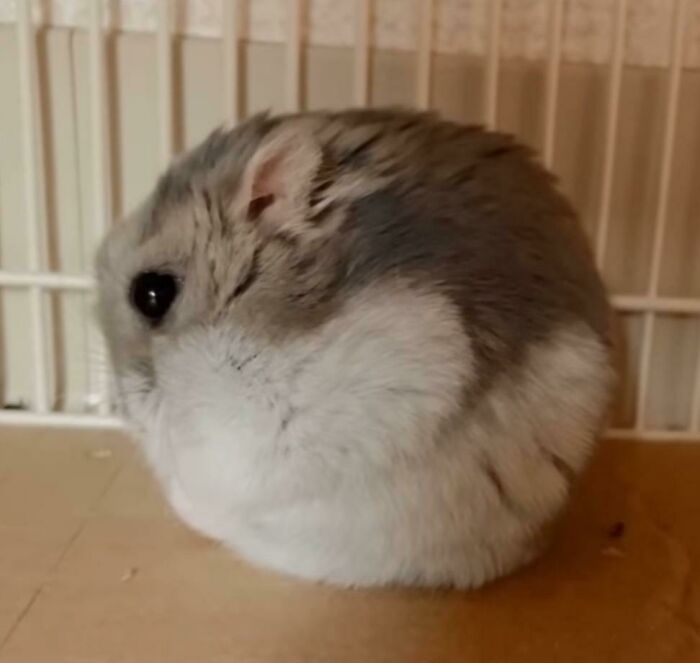 image-20231226161845-11