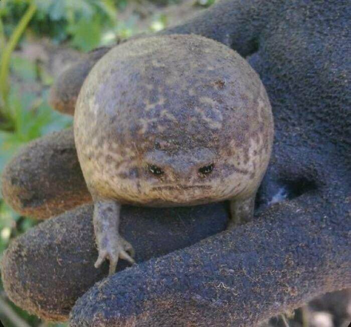 image-20231226161848-12