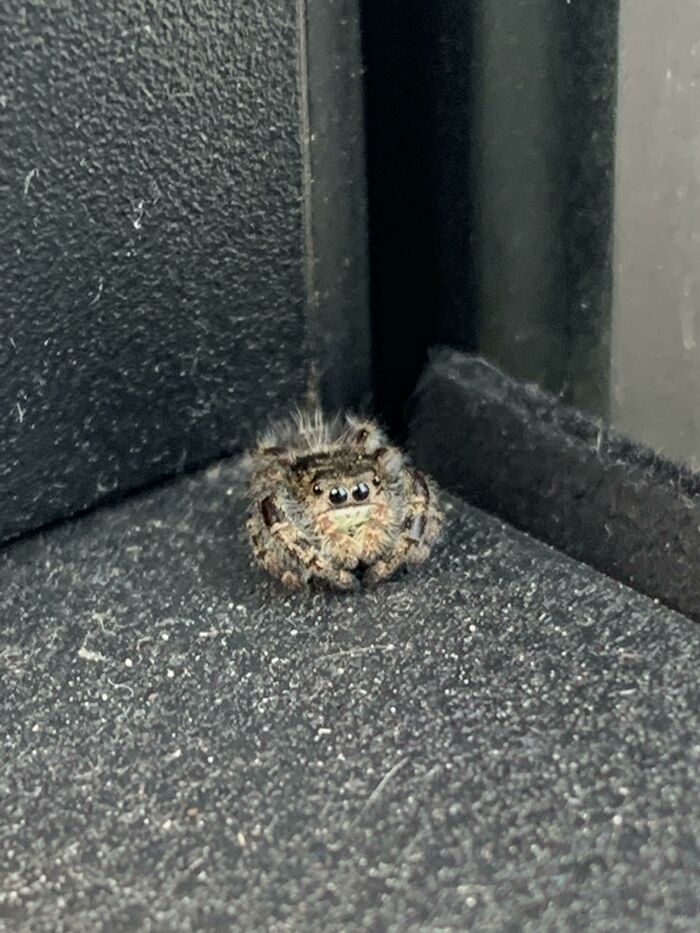 image-20231226161850-13