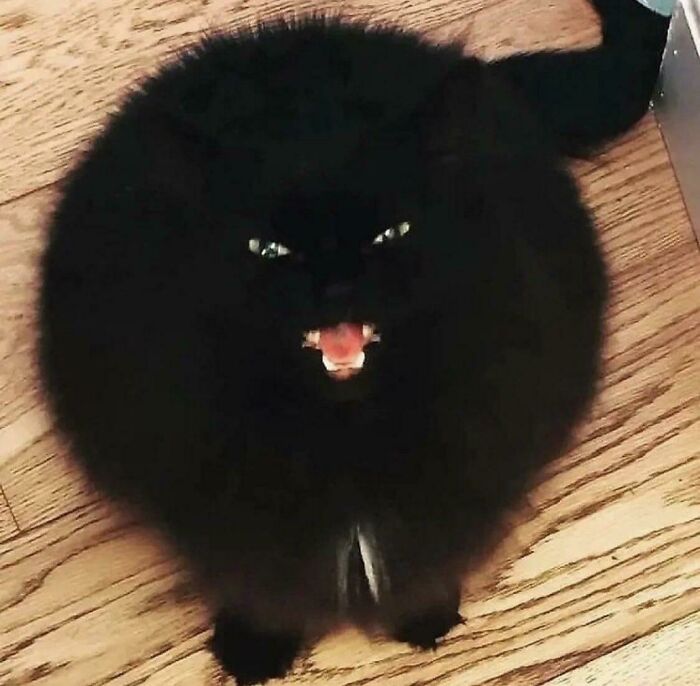 image-20231226161853-14