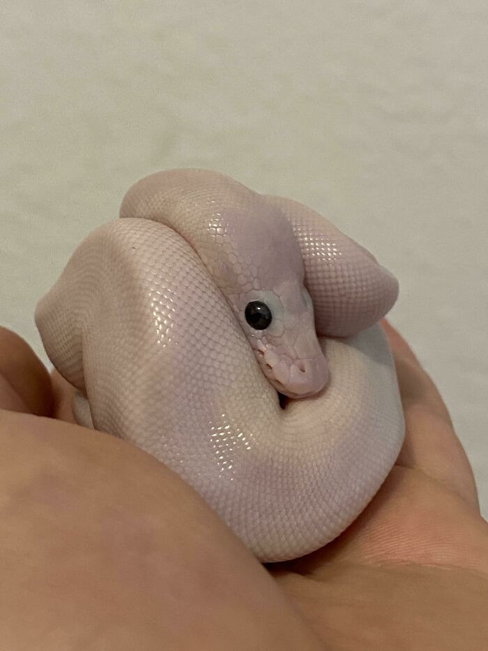 image-20231226161914-17