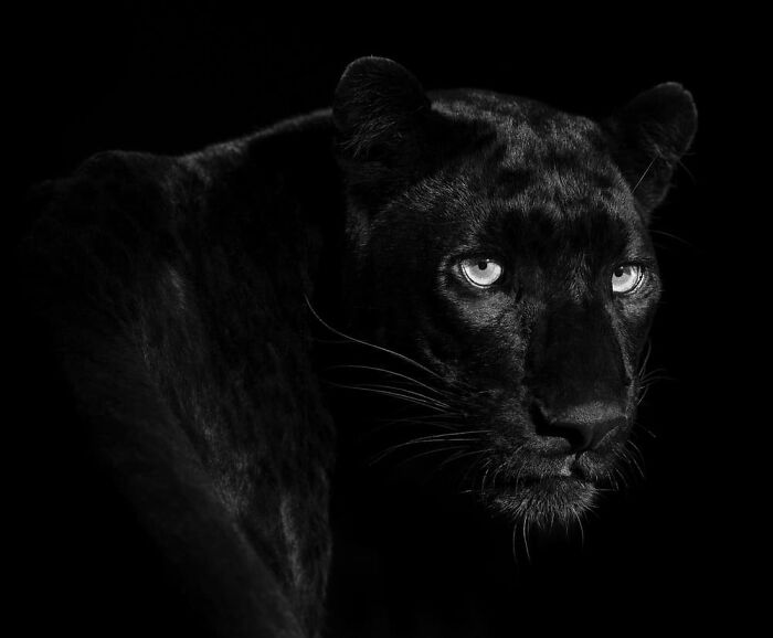 image-20231228130544-1