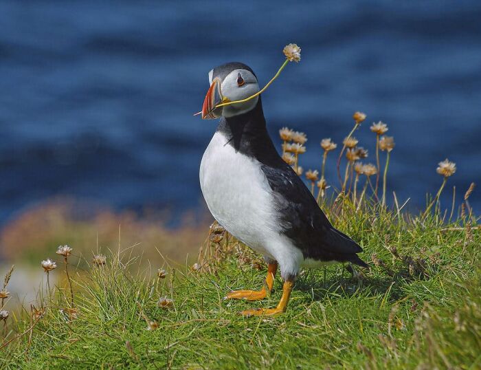 image-20231228130555-4