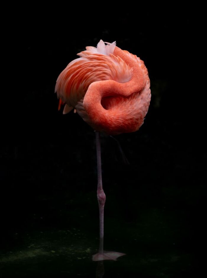 image-20231228130605-7