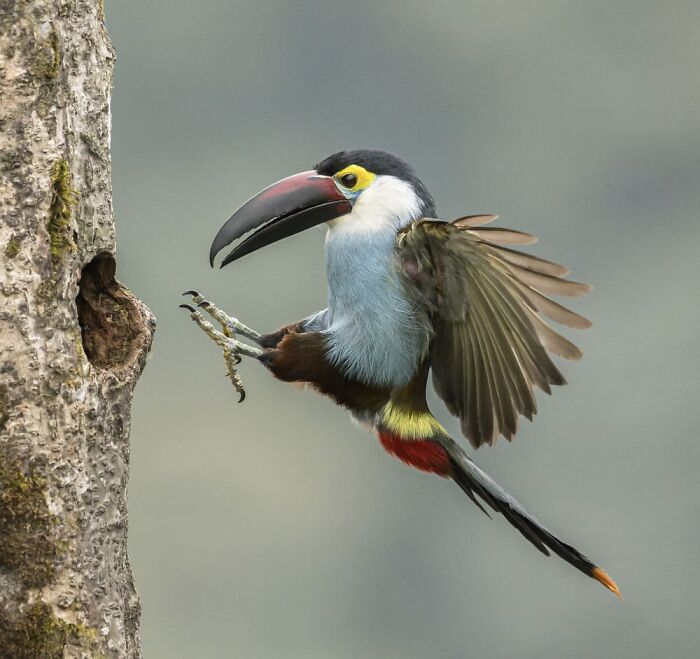 image-20231228130608-8