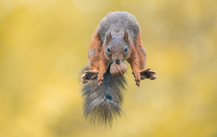 image-20231228130611-9