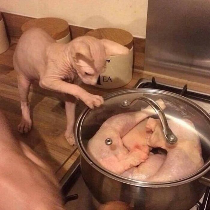 image-20240129125502-2