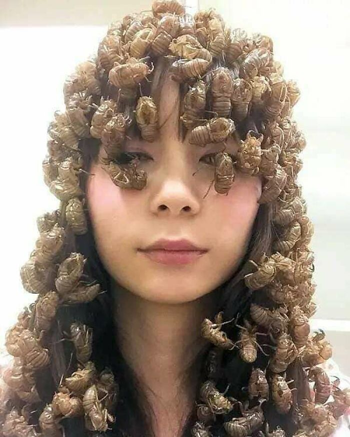 image-20240129125513-5