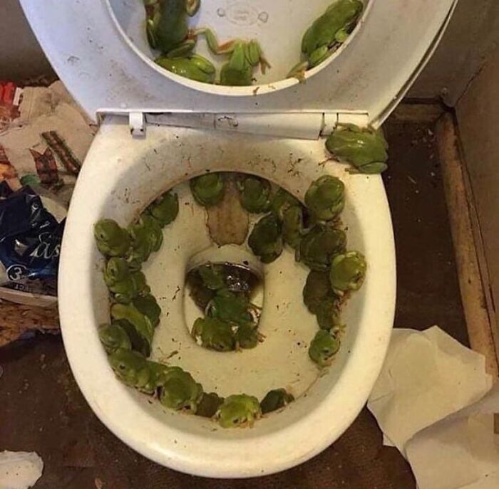 image-20240129125710-13