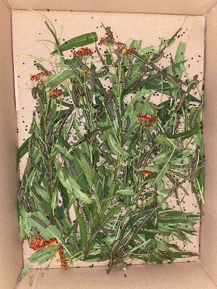 image-20240130172057-5