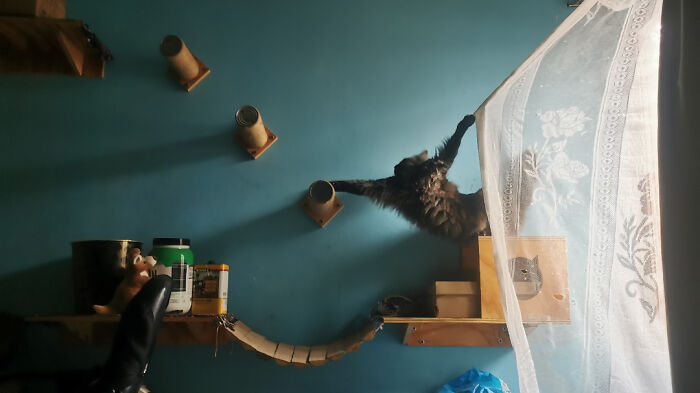 image-20240130172112-9