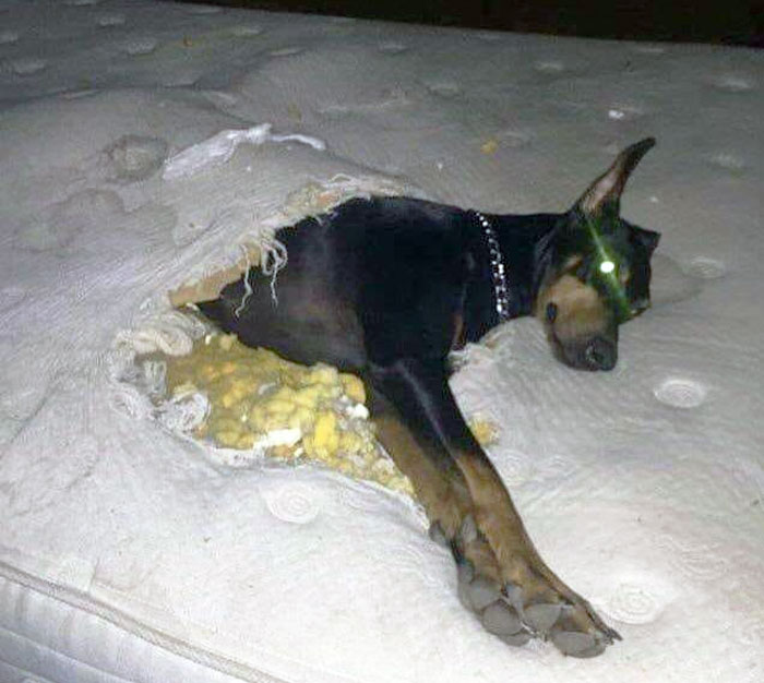 image-20240201183618-4