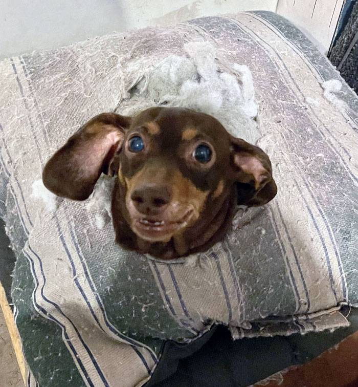 image-20240201183622-5