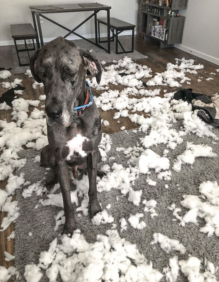 image-20240201183633-7