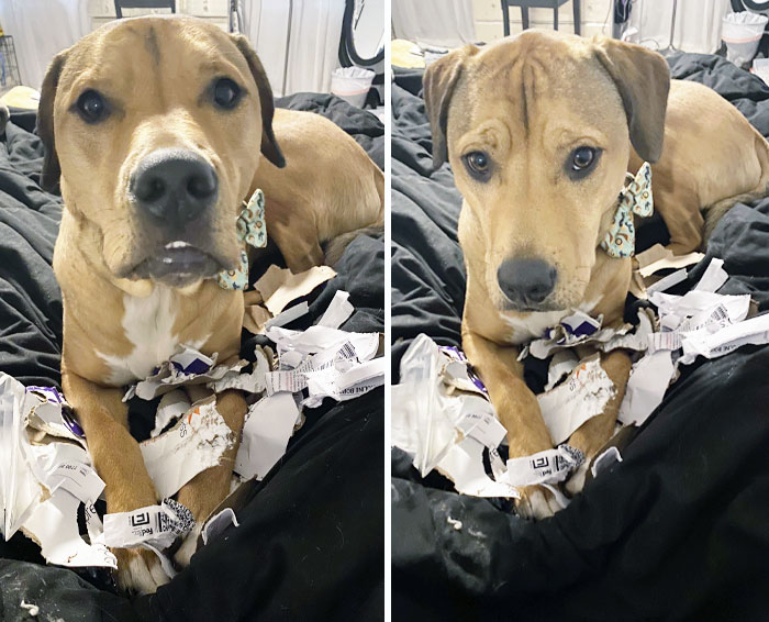 image-20240201183641-9