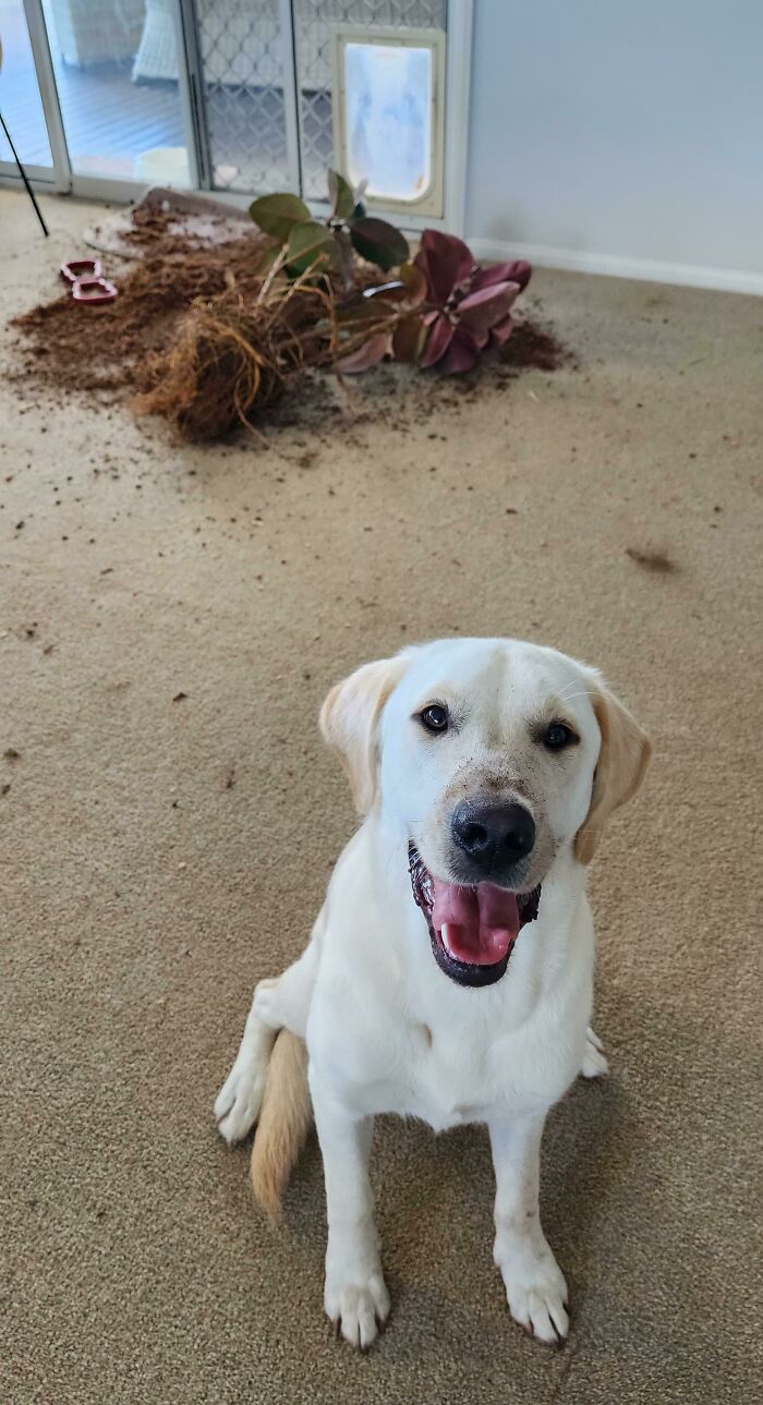 image-20240201183704-15