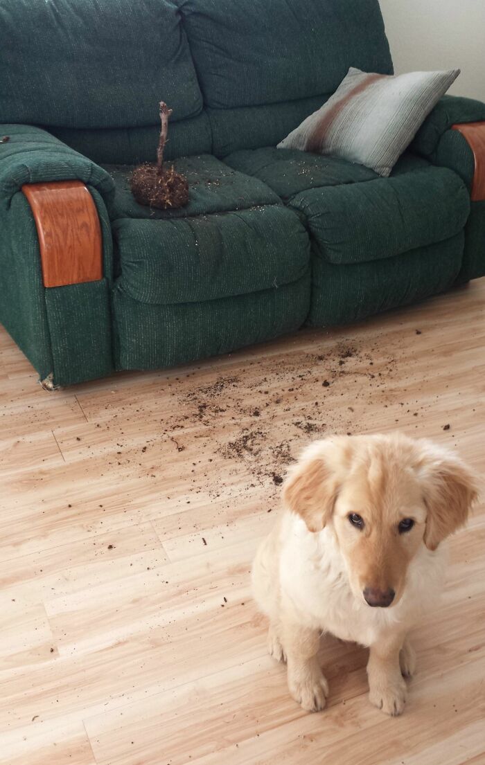 image-20240201183708-16