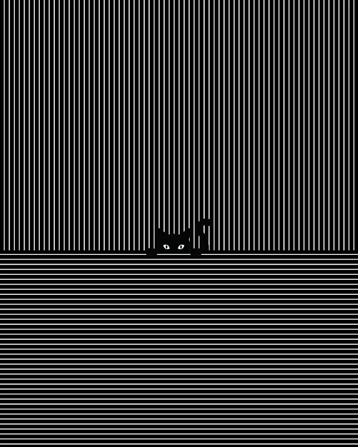 image-20240202103700-5