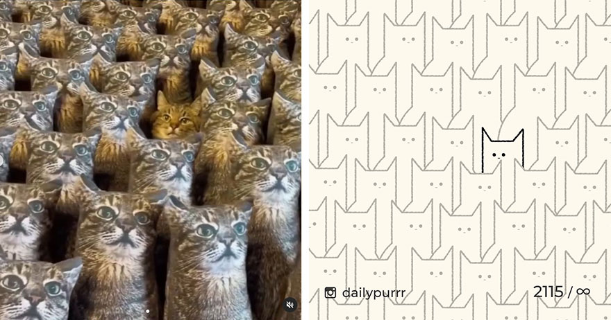 image-20240205100446-1