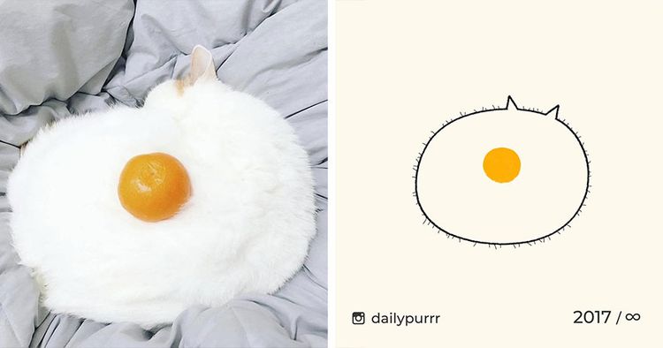 image-20240205100700-3