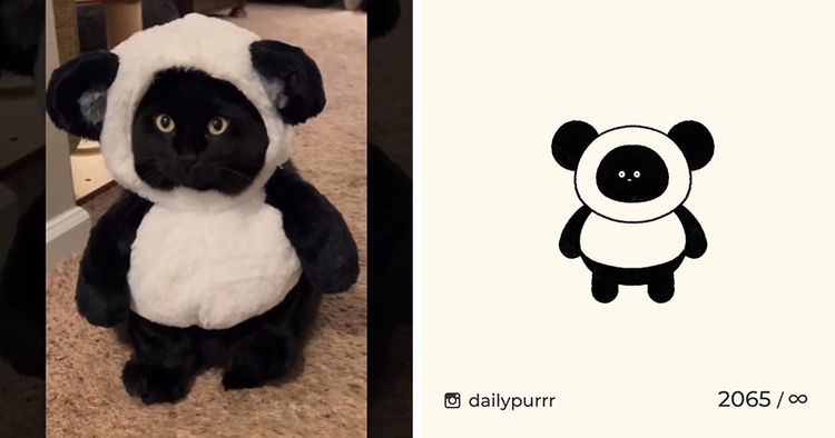 image-20240205100703-4