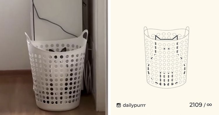 image-20240205100708-5