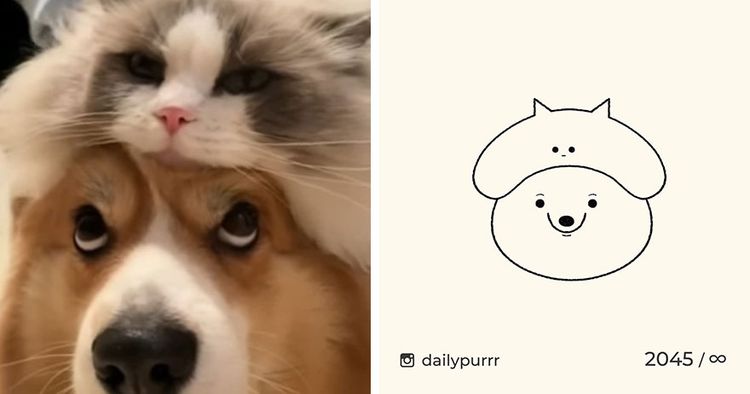 image-20240205100711-6