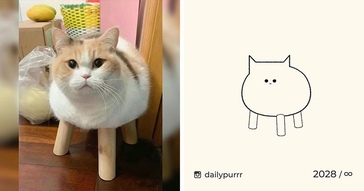 image-20240205100715-7