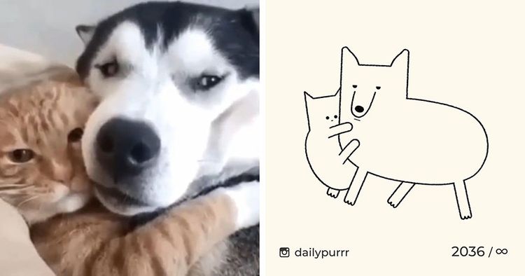 image-20240205100729-9