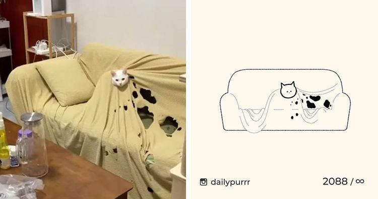 image-20240205100732-10