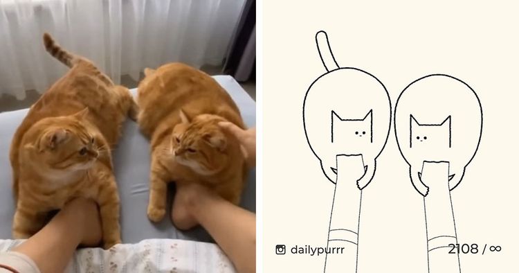 image-20240205100735-11