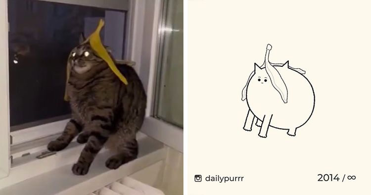 image-20240205100738-12