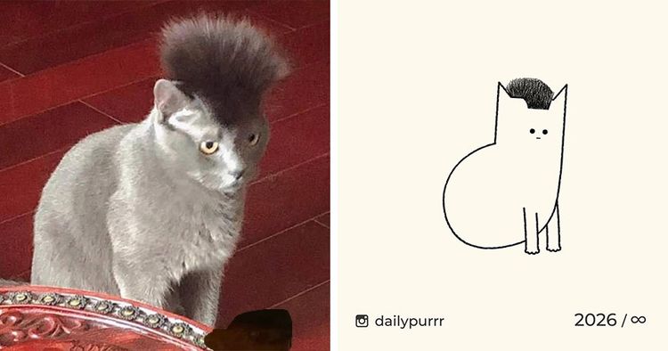 image-20240205100746-13