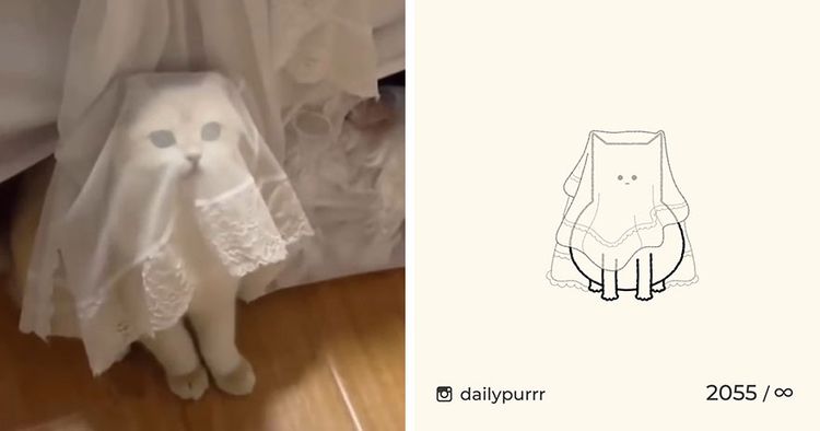 image-20240205100759-16