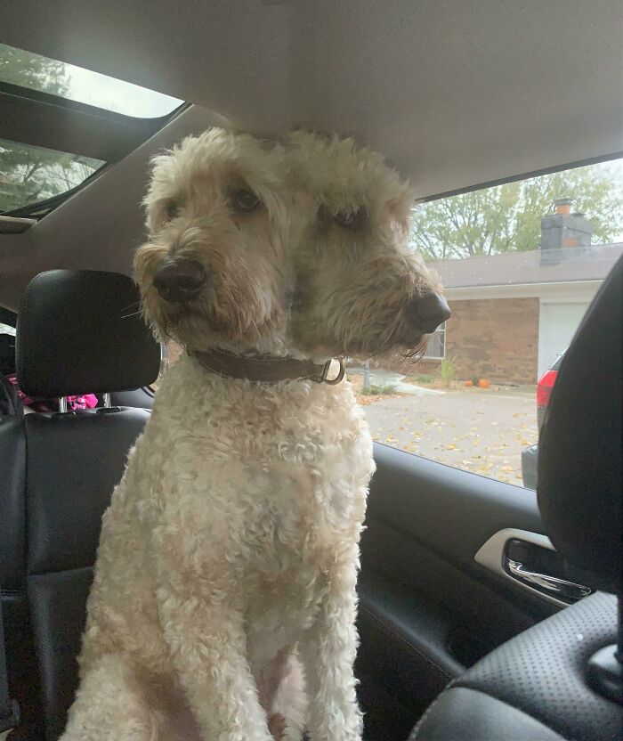 image-20240205131903-1