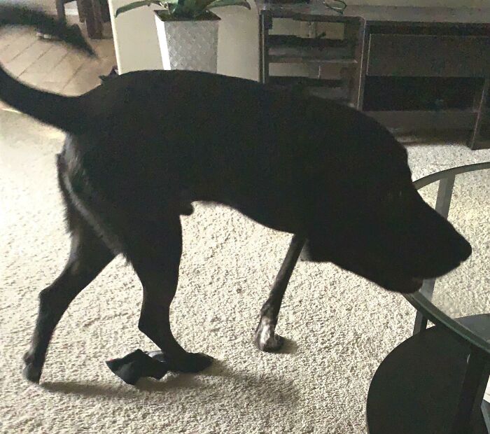 image-20240205132021-7