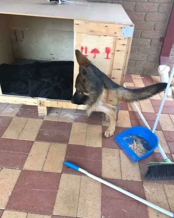 image-20240205132124-14