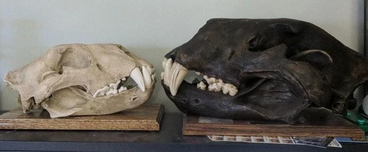 image-20240206163251-7