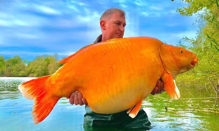 image-20240206163319-15