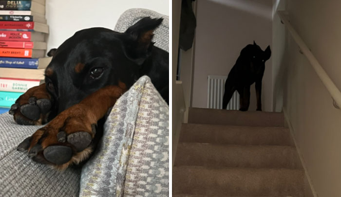 image-20240207103414-4