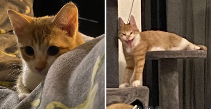 image-20240207103426-7