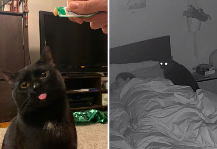 image-20240207103431-8