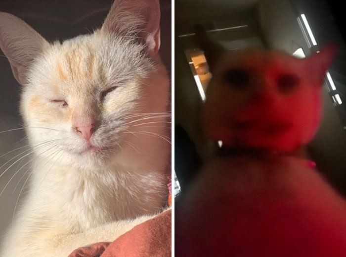 image-20240207103455-10