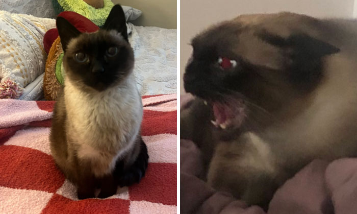 image-20240207103458-11