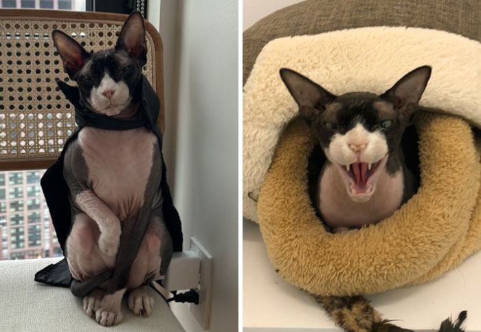 image-20240207103510-14