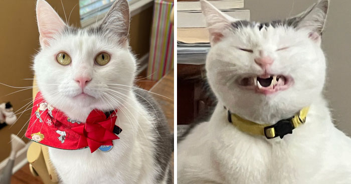 image-20240207103514-15